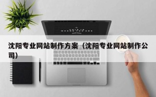 三沙沈阳专业网站制作方案（沈阳专业网站制作公司）